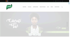 Desktop Screenshot of capilo.com.do